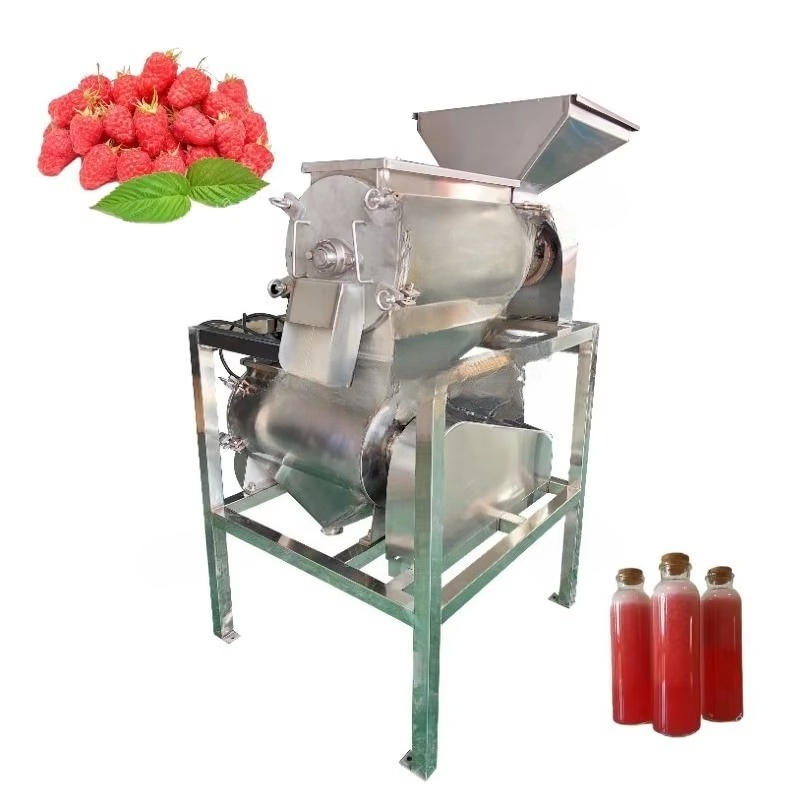 Mango juicer and vegetable pul - đánh giá và giá Juicer
