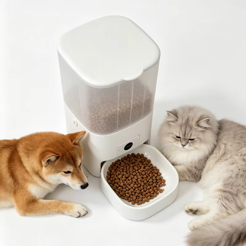 6L Automatic Cat Feeder With C - đánh giá và giá Kitchen Appliances Video